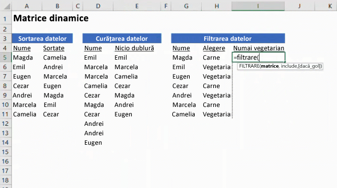 Imaginea animată afișează Matrice dinamice în Excel.