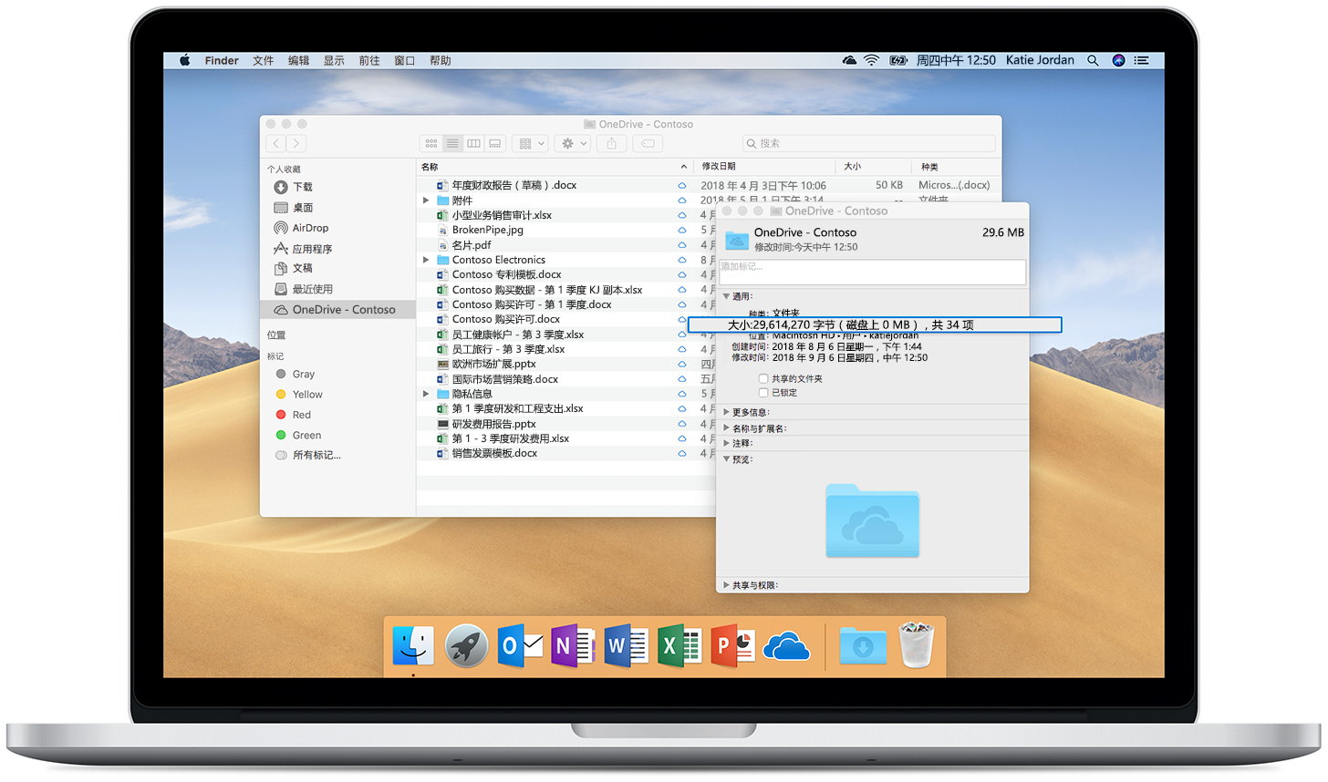 图片显示打开的 Mac 上的 OneDrive 文件随选功能。