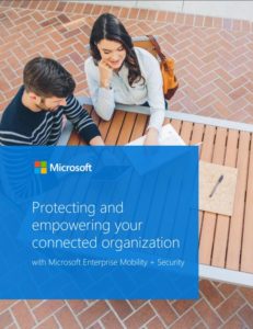 Cover of the Protecting and empowering your connected organization ebook