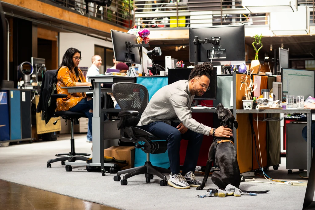 Open office work space; engineers in their workspace with office dog.