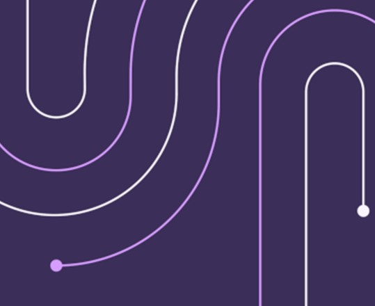 Illustration of solid lines forming shaped curves on a purple background