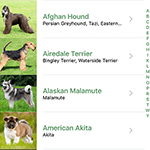 Dog Maze - Microsoft Apps