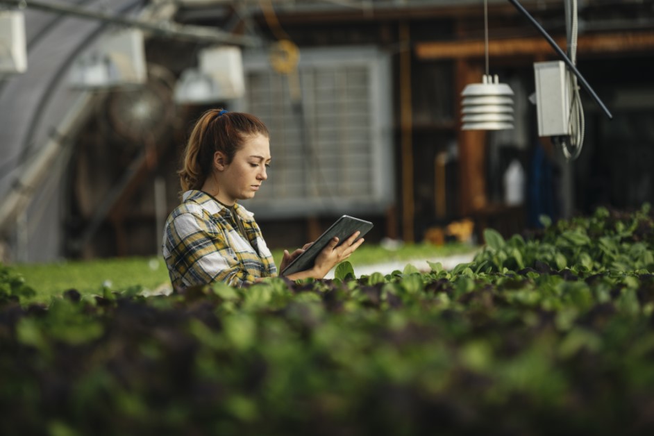 Female farm worker using digital tablet in greenhouse.