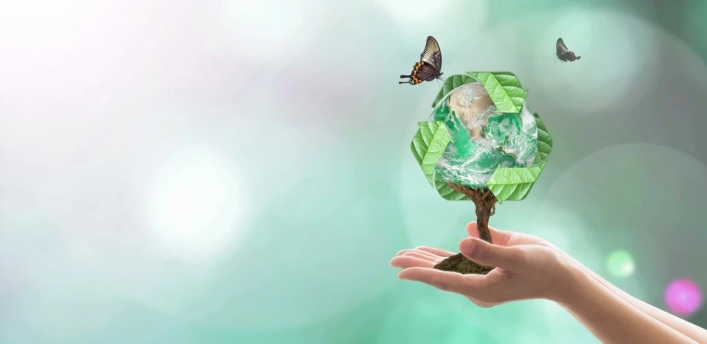 Das Bild zeigt zwei Hände vor einem grünen Hintergrund, die einen Bonsai-Baum tragen. Die Baumkrone wurde durch ein Recycling-Zeichen ersetzt, auf dem ein Schmetterling Platz genommen hat.