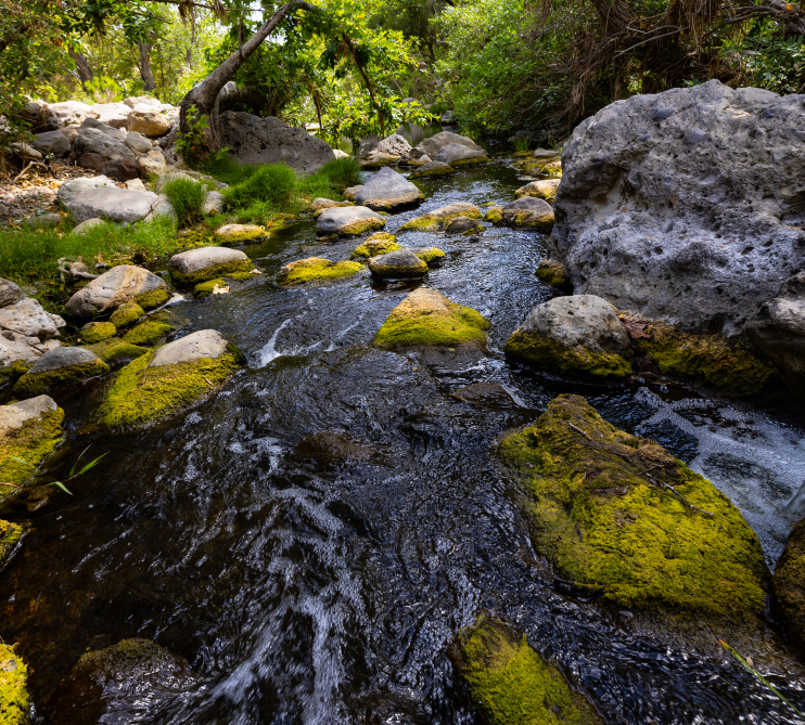 A decorative image of a stream running through some rocks