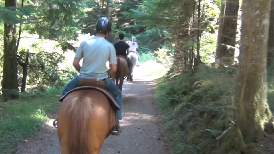 Audio and Acoustics Research Group horseback riding on Orcas Island for morale event on August 1, 2016