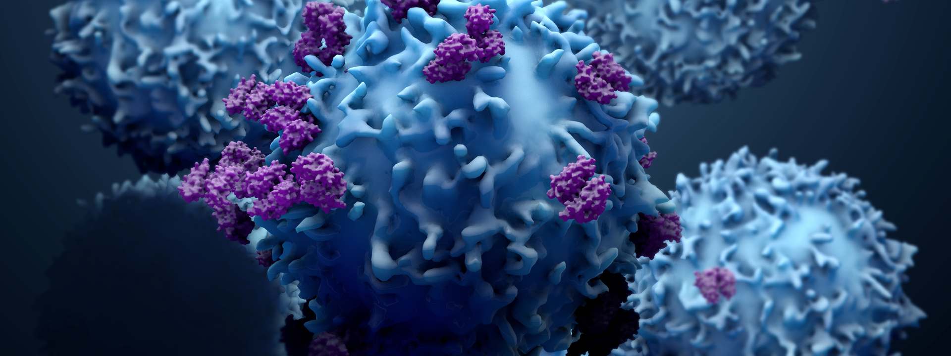 illustration of t-cells