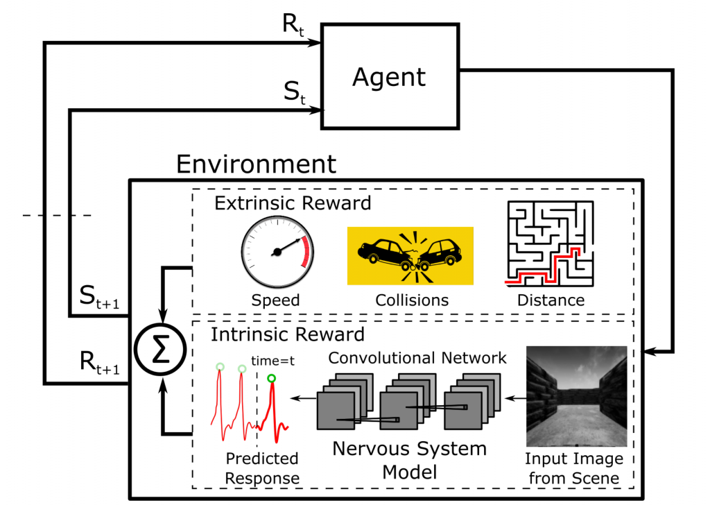 Visceral Machines are a novel approach to reinforcement learning that leverages neural networks trained on physiological signals to mimic autonomic nervous system responses. Such signals then are used as intrinsic reward mechanisms to train agents that can learn to accomplish various tasks.