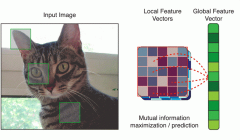 mutual information maximization prediction