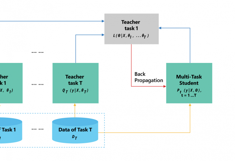 Examples Of Robust Knowledge