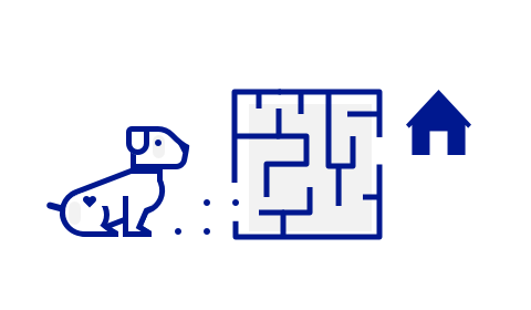 Eyes First games: graphic showing puppy finding her way through a maze