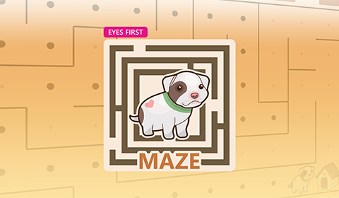 Eyes First - Maze game