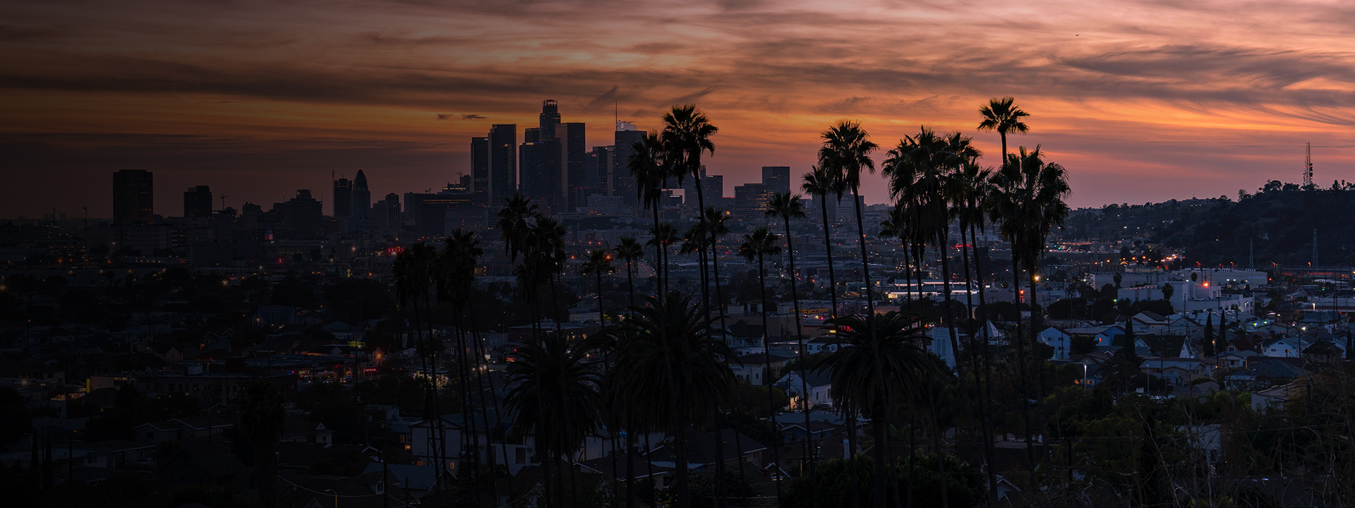 Sunset of skyline and palm trees inLos Angeles