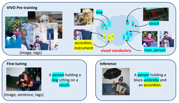 Three boxes are shown, one above and two below. Top box: VIVO Pre-training. images of a man sitting outdoors with a laptop and a dog, a dog, and a man playing an accordion and singing are labeled (image, tags). Next to this visual vocabulary is represented by two images of a dog with an arrow pointing to zeroes in a cloud. The label 