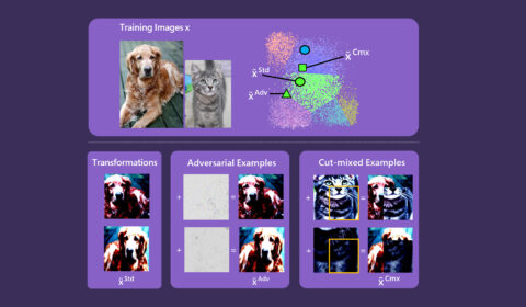 a graphic shows computer vision model using example of dog image