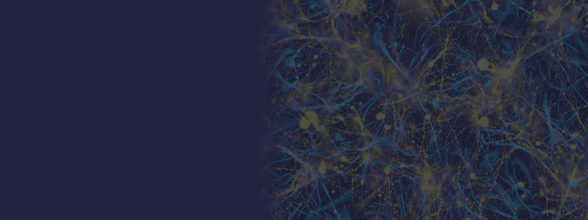 CVPR 2021 header: organic network on dark background
