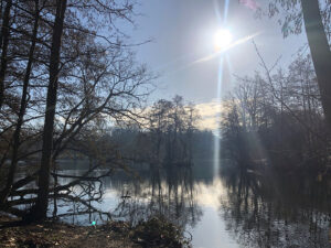 view across a lake surrounded by woodland with the sun low in the background