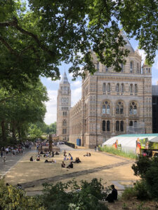 Photo of the Natural History Museum. A large cathedral-esque building with intricate brickwork and windows