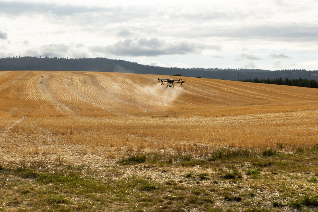 open field where drone hovers 3 feet above the ground spraying fertilizer