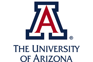 Wordplay project - University of Arizona logo