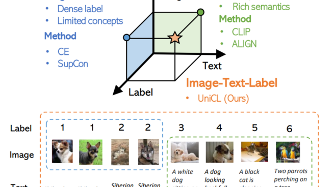 Unified Contrastive Learning in Image-Text-Label Space