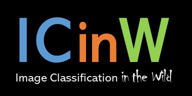 ICinW Challenge (20 datasets)