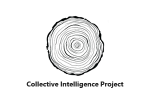 Collective Intelligence Project CIP logo