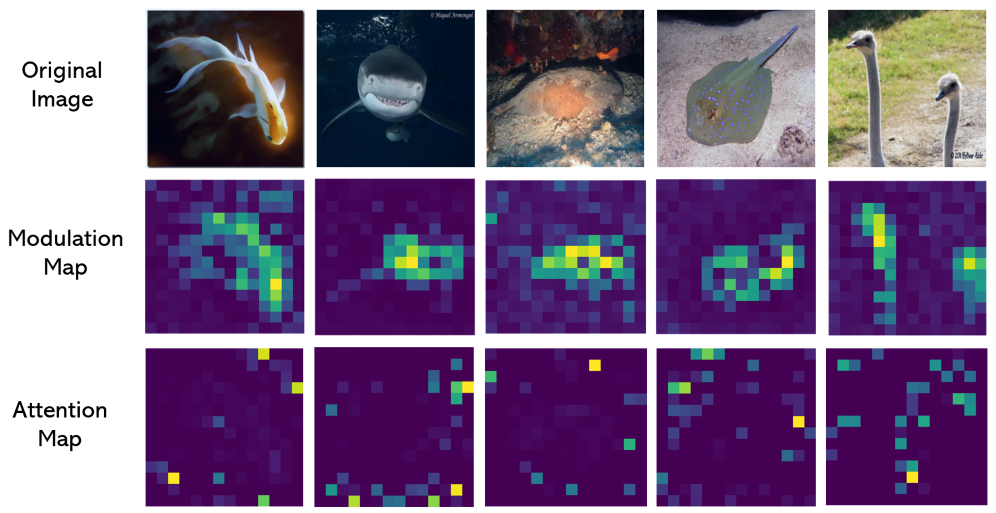 FocalNets: Focus Eyes with Focal Modulation - Microsoft Research