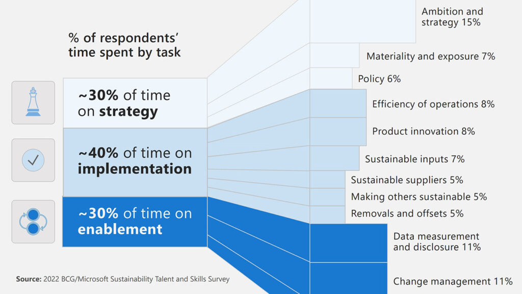 Company sustainability professionals focus on three main areas of work: strategy, implementation and enablement