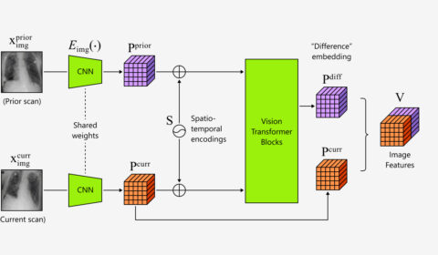 BioViL-T sequence diagram