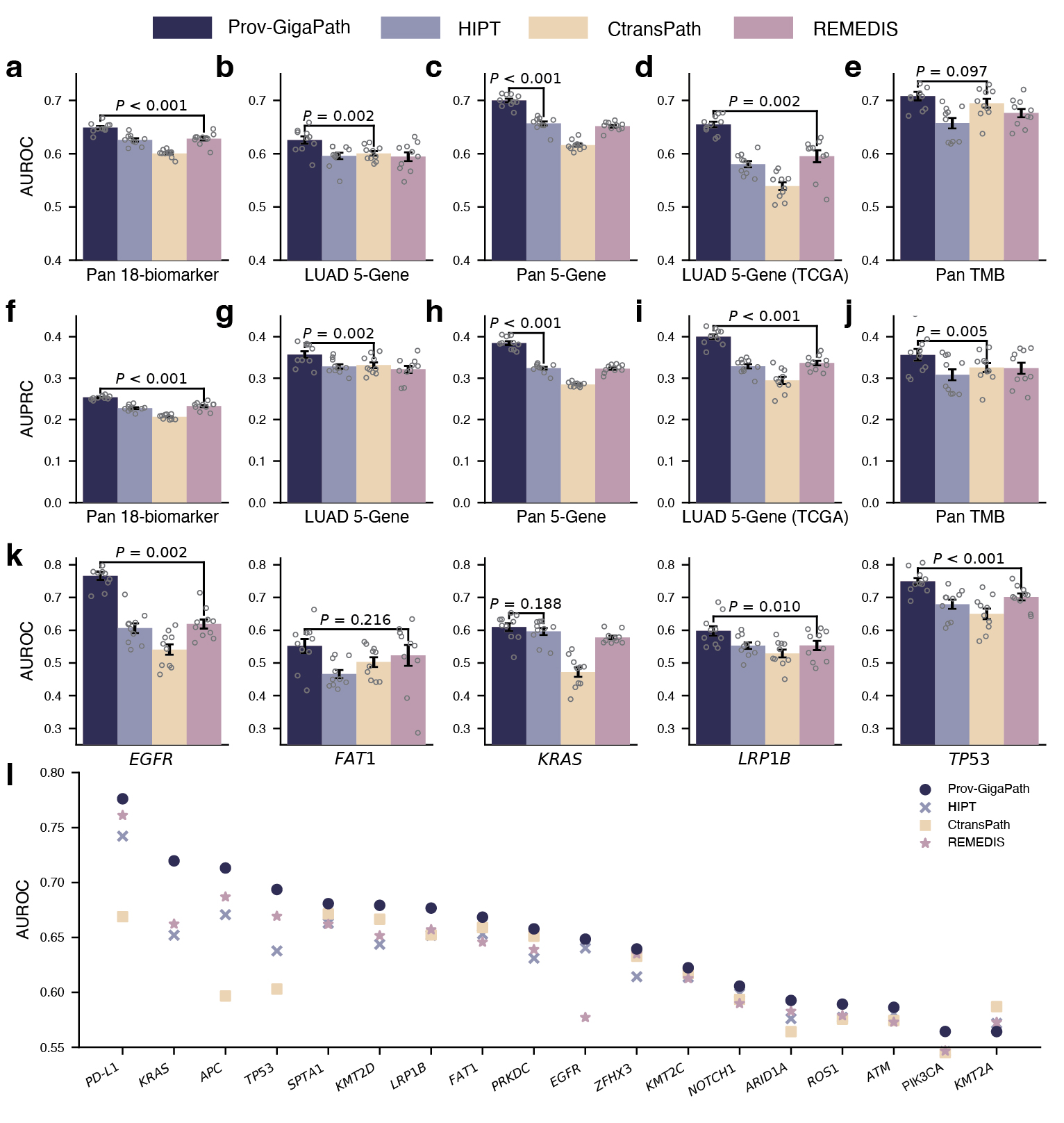 Figure 4: Comparison on gene mutation prediction. a−j, Bar plots comparing the AUROC and AUPRC scores of Prov-GigaPath and competing methods on pan-cancer 18-biomarker (a,f), LUAD-specific 5-gene mutation prediction (b,g), pan-cancer 5-gene mutation prediction (c,h), LUAD-specific 5-gene mutation prediction on TCGA (d,i) and pan-cancer TMB prediction (e,j). k, Bar plot showing AUROC for each gene on LUAD-specific five-gene mutation prediction on TCGA. a−k, Data are mean ± s.e.m. across n = 10 independent experiments. The listed P value indicates the significance for Prov-GigaPath outperforming the best comparison approach, with one-sided Wilcoxon test. l, Comparison of AUROC scores for individual biomarkers in pan-cancer 18-biomarker predictions. 