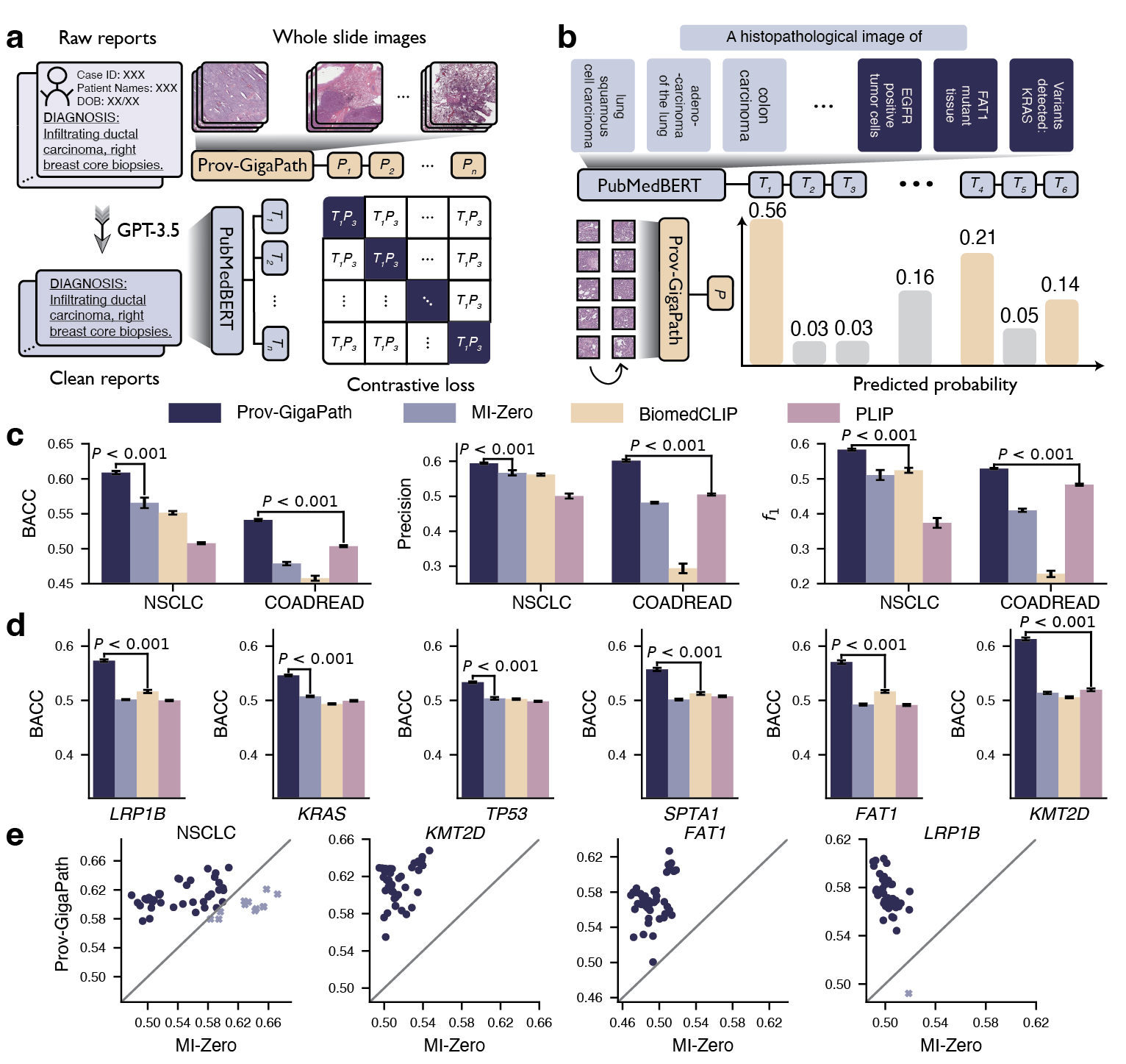 Figure 5: Comparison on vision-language tasks. a, Flow chart showing the fine-tuning of Prov-GigaPath using pathology reports. Real-world pathology reports are processed using GPT-3.5 from OpenAI to remove information irrelevant to cancer diagnosis. We performed the CLIP-based contrastive learning to align Prov-GigaPath and PubMedBERT. b, The fine-tuned Prov[1]GigaPath can then be used to perform zero-shot cancer subtyping and mutation prediction. The input of Prov-GigaPath is a sequence of tiles segmented from a WSI, and the inputs of the text encoder PubMedBERT are manually designed prompts representing cancer types and mutations. Based on the output of Prov-GigaPath and PubMedBERT, we can calculate the probability of the input WSI being classified into specific cancer subtypes and mutations. c, Bar plots comparing zero-shot subtyping performance on NSCLC and COADREAD in terms of BACC, precision and f 1. d, Bar plots comparing the performance on mutation prediction using the fine-tuned model for six genes. c,d, Data are mean ± s.e.m. across n = 50 experiments. The listed P value indicates the significance for Prov-GigaPath outperforming the best comparison approach, with one-sided Wilcoxon test. e, Scatter plots comparing the performance between Prov-GigaPath and MI-Zero in terms of BACC on zero-shot cancer subtyping. Each dot indicates one trial with a particular set of text query formulations. 