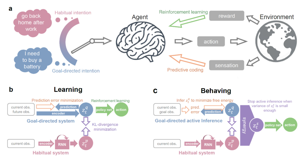 Computational modeling of habitual and goal-directed behaviors