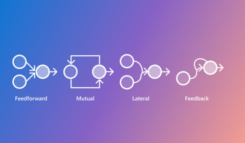 Diagram illustrating four common neural connectivity patterns in the biological neural networks: Feedforward, Mutual, Lateral, and Feedback. Each pattern consists of circles representing neurons and arrows representing synapses. 