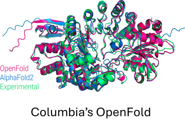 图6：在训练过程中 OpenFold 对 PDB 链7B3A_A的预测。