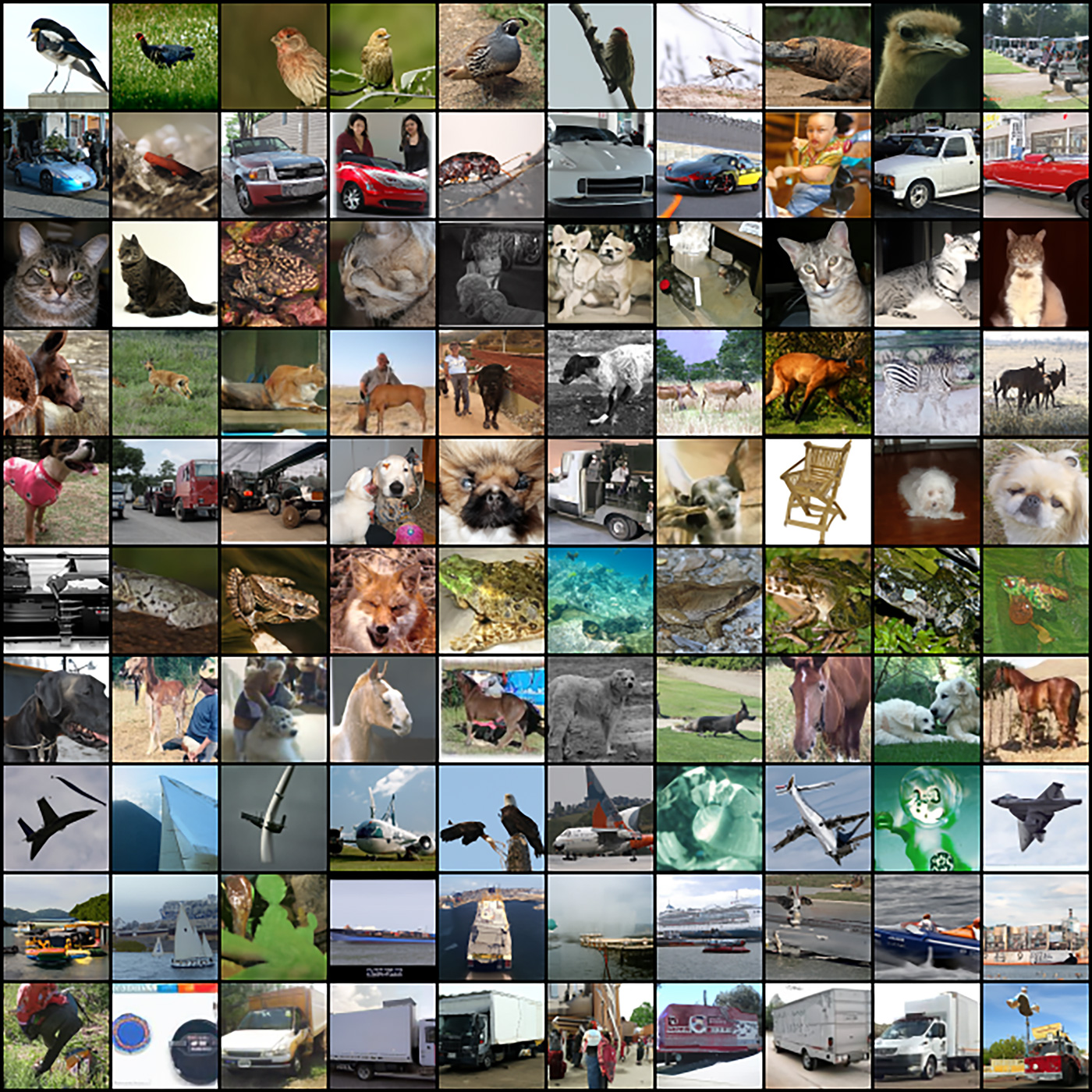 An array of ten rows of thumbnails, each row depicting ten instances of generated synthetic images. The rows include birds, cars, cats, dogs, and other animals, planes, boats and trucks.  Most of the images appear to be realistic with some exhibiting unusual artifacts. 