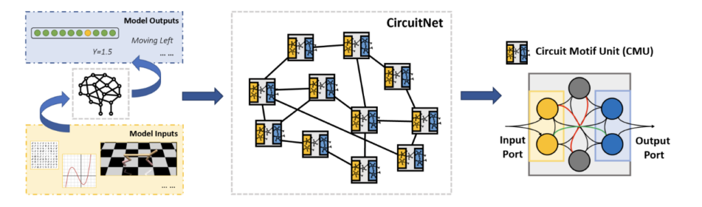 The model structure of CircuitNet