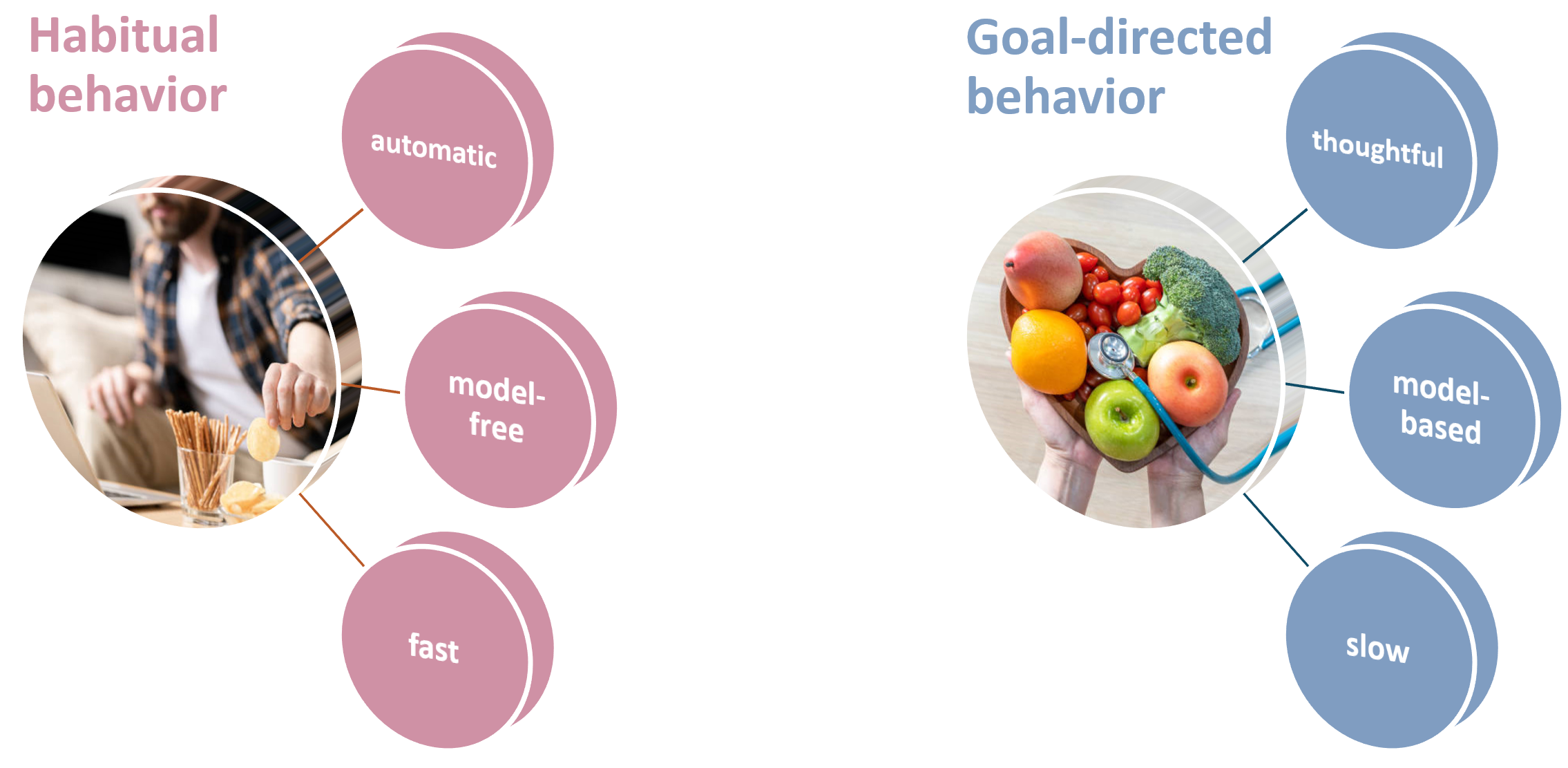 Diagrams showing features of habitual behavior (e.g., eating snack when focusing on work) and goal-directed behavior (planning a meal to lose weight). Left: habitual behavior with features like automatic, model-free, and fast; Right: goal-directed behavior with features like thoughtful, model-based, and slow. 