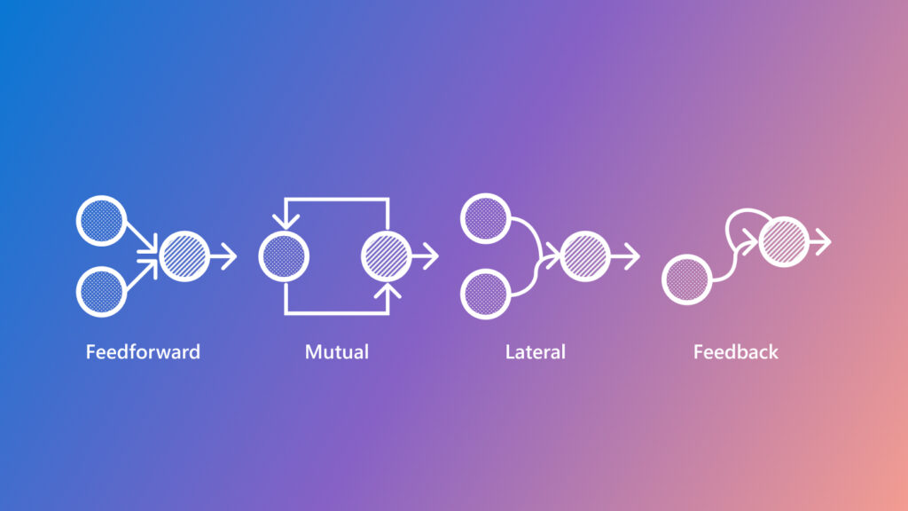 Diagram illustrating four common neural connectivity patterns in the biological neural networks: Feedforward, Mutual, Lateral, and Feedback. Each pattern consists of circles representing neurons and arrows representing synapses. 