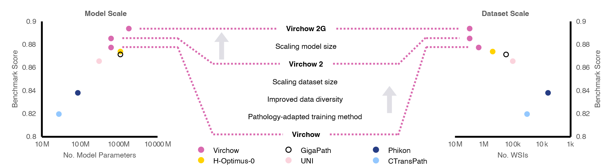 A scaling plot of performance (y-axis) compared with the number of model parameters, left, and the number of training whole slide images, right. The middle panel describes how Virchow 2 increases the dataset size and diversity in addition to introducing pathology-specific training. Virchow 2G further increases the model size. 