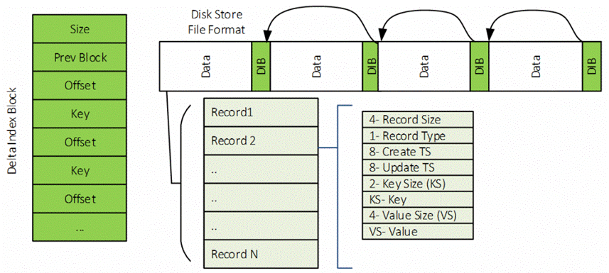 Figure 4 – Disk store record formats