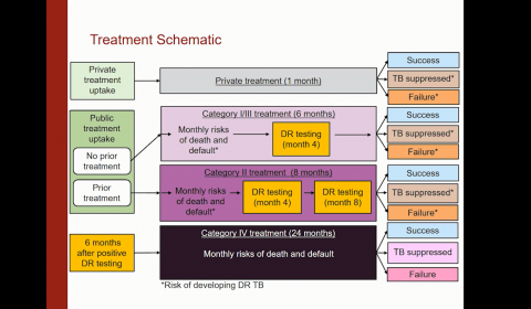 Modeling Disease for Effective Control: Tuberculosis in India (Theme: Health Care)