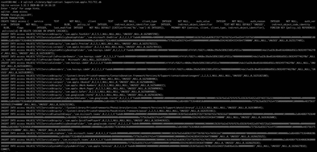 Screenshot of TCC.db access table dump