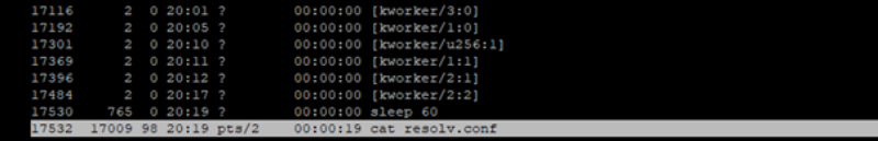 Screenshot of the output of the 'ps -aef' containing an entry for "cat resolv.conf". 