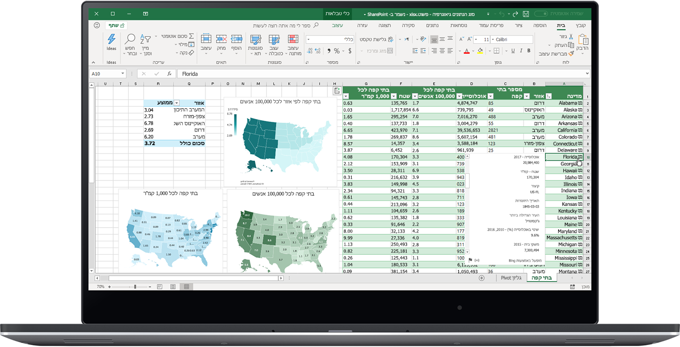 תמונה שמציגה את סוג הנתונים 'גיאוגרפיה' ב- Excel.