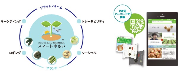 AI・IoT・ロボットにより生育過程がトレースされた野菜「スマートやさい(R)」