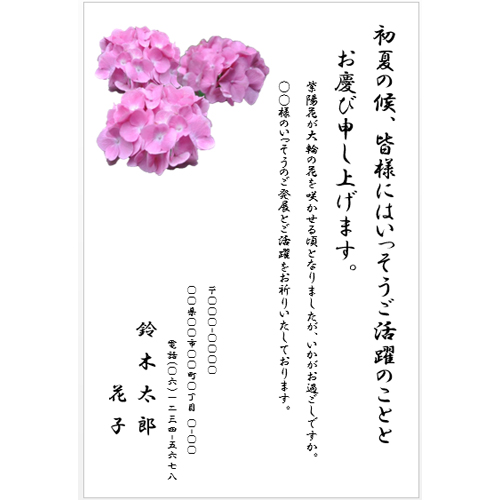 ハガキ (紫陽花) 画像スライド-4