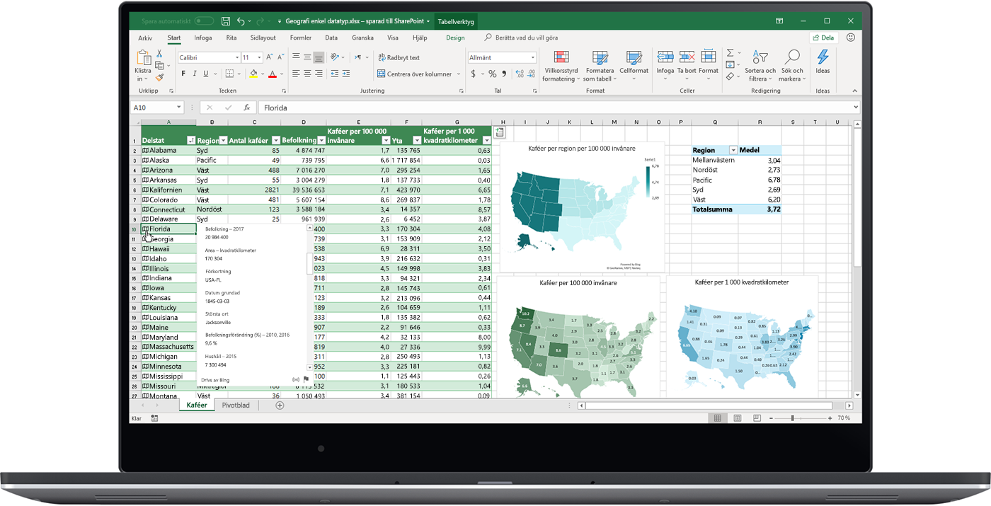 Bild som visar datatypen Geografi i Excel.